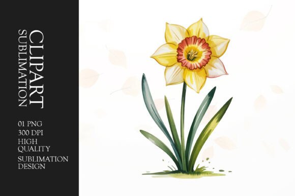 Download Single Daffodil Clipart PNG - Daffodil Collection