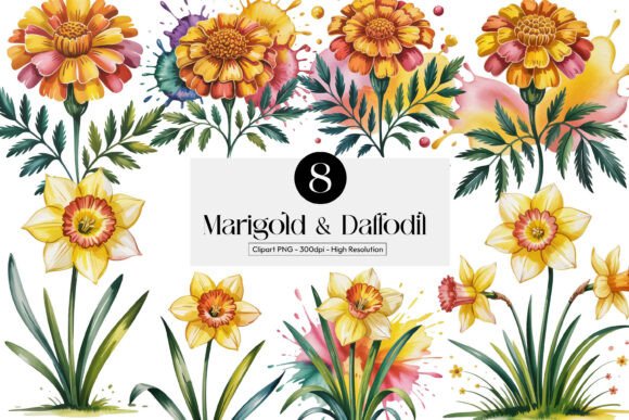 Download Marigold &amp; Daffodil Cliparts Pngs - Daffodil Collection