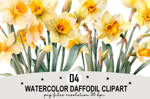 Download Watercolor Daffodil Clipart - Daffodil Collection