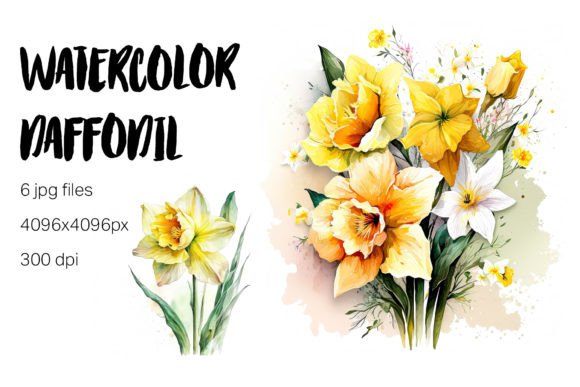 Download Watercolor Daffodil Clipart - Daffodil Collection