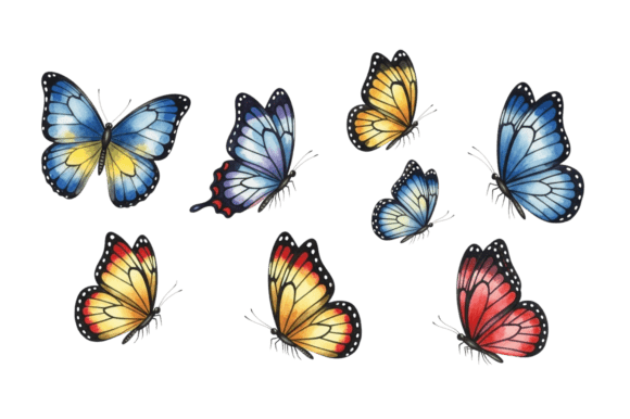 Download Set of Colorful Watercolor Butterflies - Watercolor butterflies Collection