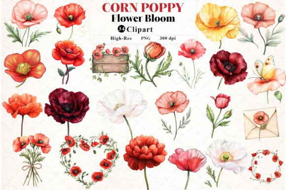 Download Corn Poppy Flower Bloom Clipart - Poppy flower Collection