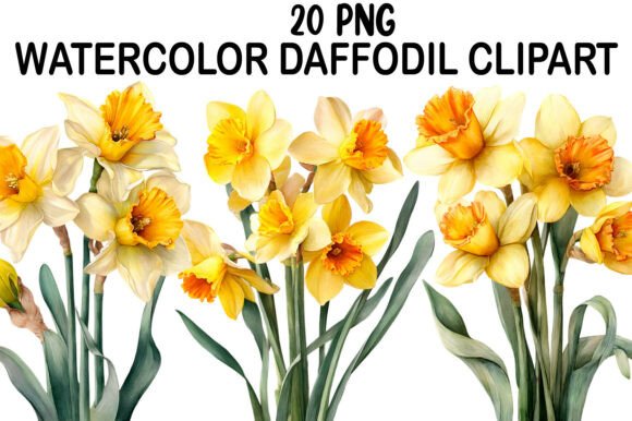 Download Watercolor Daffodil Clipart - Daffodil Collection