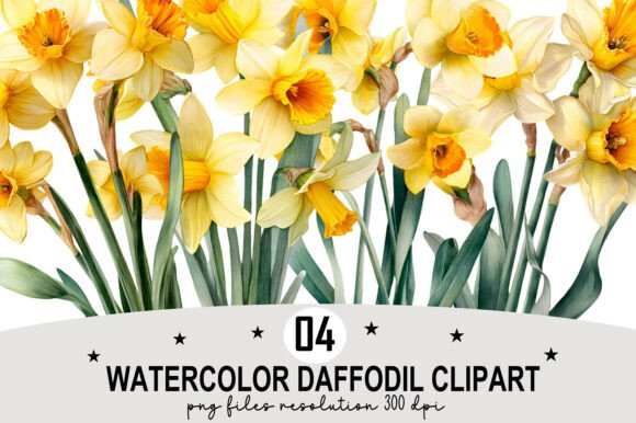 Download Watercolor Daffodil Clipart - Daffodil Collection