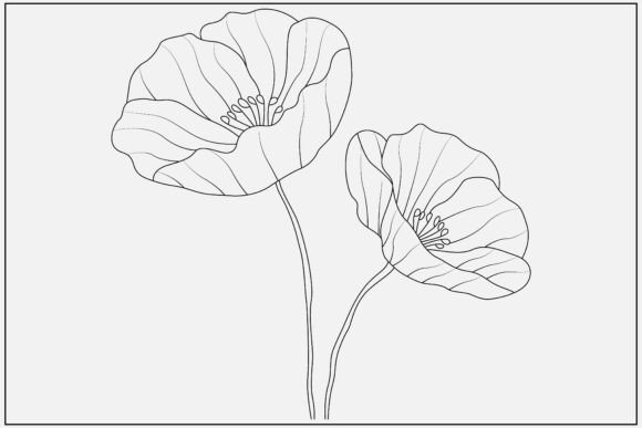 Download Red Poppy Line Art Design - Design Collection