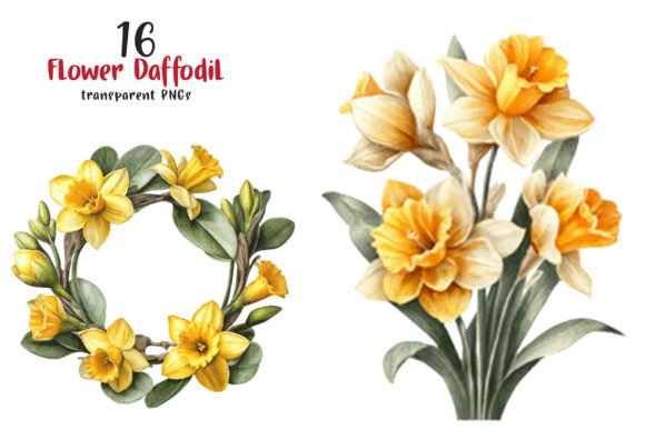 Download Watercolor Flower Daffodil Clipart - Daffodil Collection