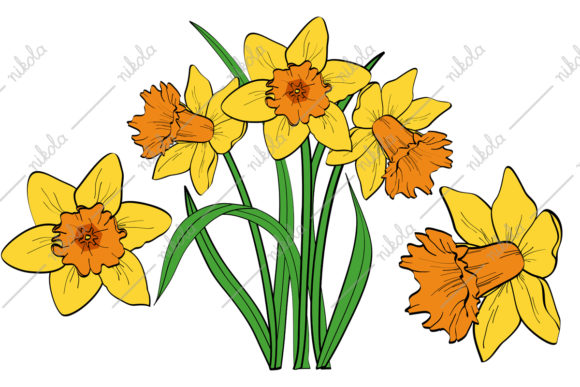 Download Daffodil Clipart Cricut - Daffodil Collection