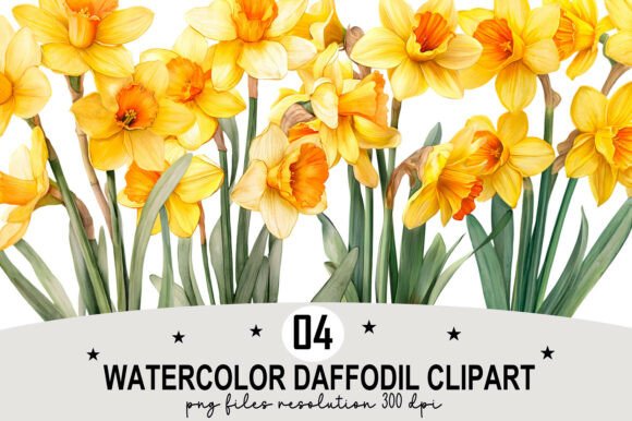 Download Watercolor Daffodil Clipart - Daffodil Collection