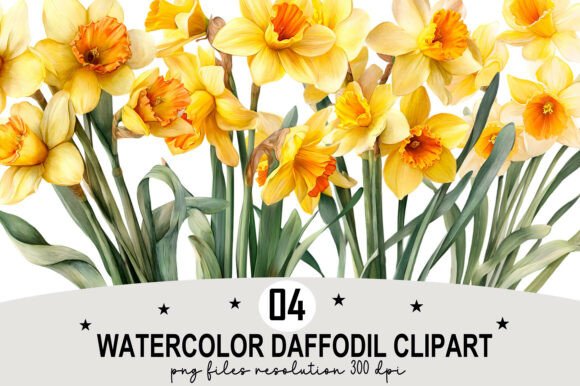 Download Watercolor Daffodil Clipart - Daffodil Collection
